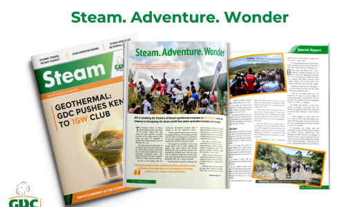 Steam. Adventure. Wonder